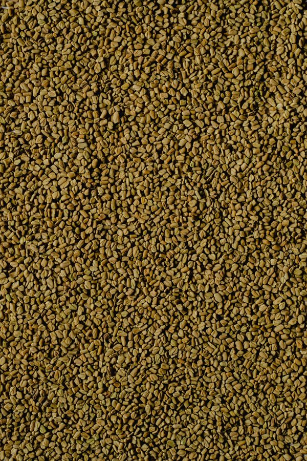 Vijaysar & Methi